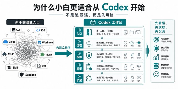 为什么新手适合codex